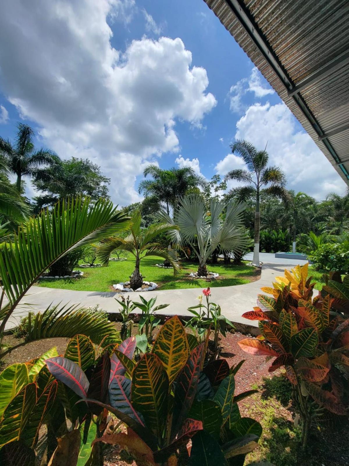 Campestre Arenal La Fortuna