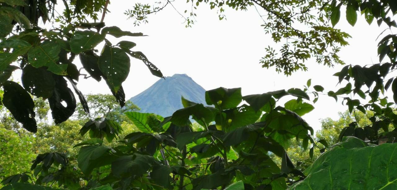 Campestre Arenal La Fortuna