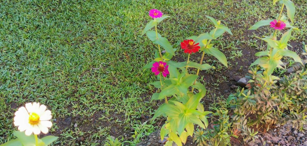 Campestre Arenal Lodge La Fortuna