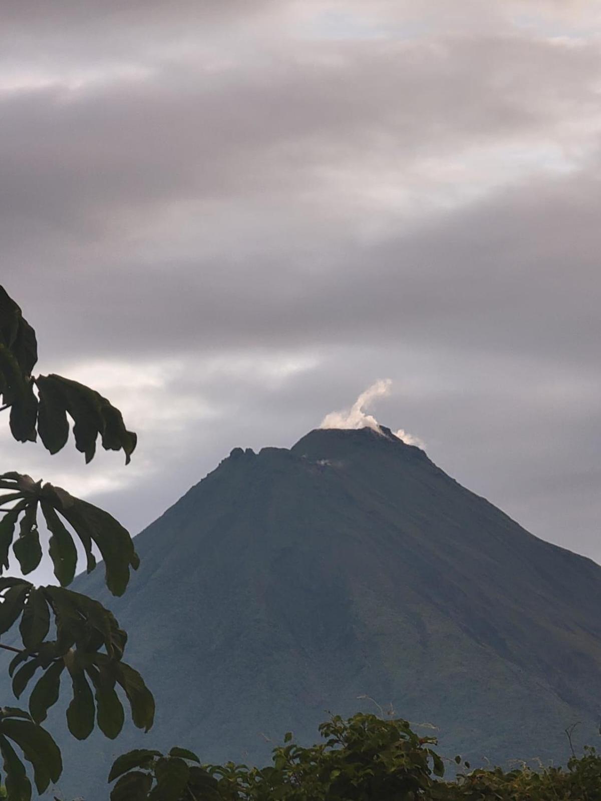 La Palmera Real Lodge La Fortuna